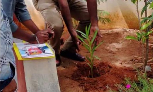 Planting